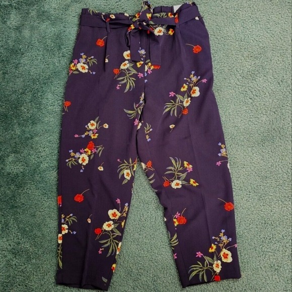 Jules & Leopold Women's 2X Belted Black Floral Stretchy Pull-On Ankle Pants NWT - Picture 2 of 9